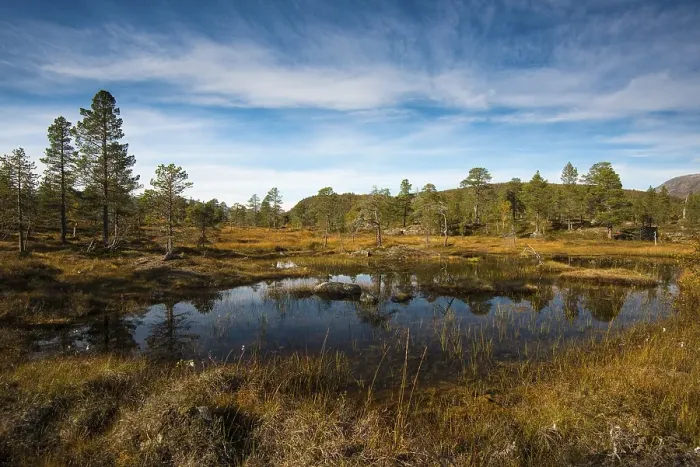 Framed Print : Lake in Anderdalen National Park