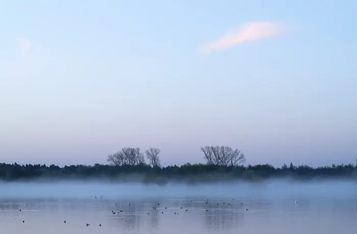 Framed Print : Lake and birds on water in front of sunrise