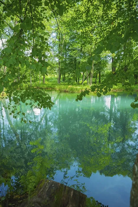 Framed Print : Lake in forest Framed Print : Lake in forest