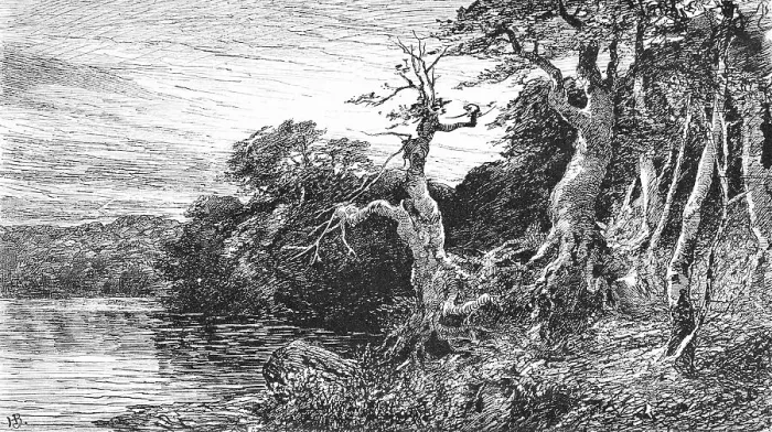 Framed Print : Lake Hertha near Sassnitz on Ruegen Framed Print : Lake Hertha near Sassnitz on Ruegen