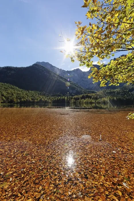 Framed Print : Lake Hinterer Langbathsee with beech leaves