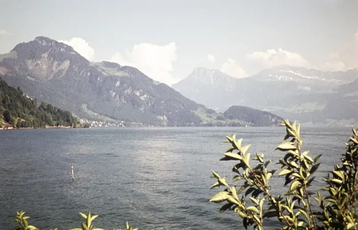 Framed Print : Lake Lucerne, Weggis, Canton Lucerne, Switzerland, Europe 1959, Europe Framed Print : Lake Lucerne, Weggis, Canton Lucerne, Switzerland, Europe 1959, Europe