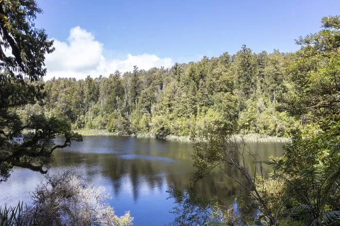 Framed Print : Lake Matheson, New Zealand, Oceania