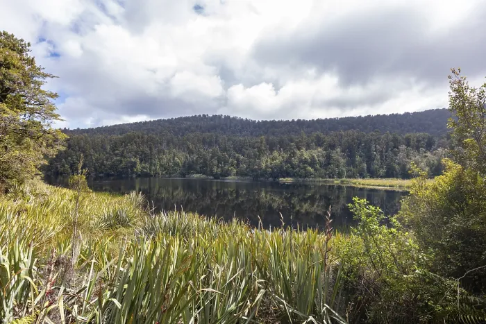 Framed Print : Lake Matheson Trail, New Zealand, Oceania