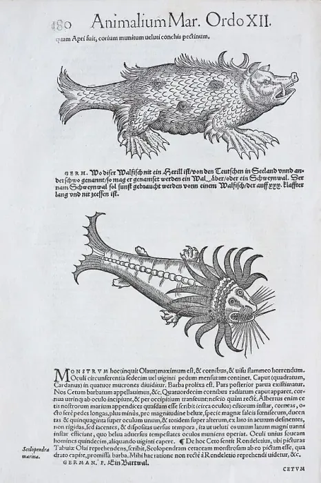 Framed Print : Lake Monster, woodcut by Conrad Gessner Framed Print : Lake Monster, woodcut by Conrad Gessner