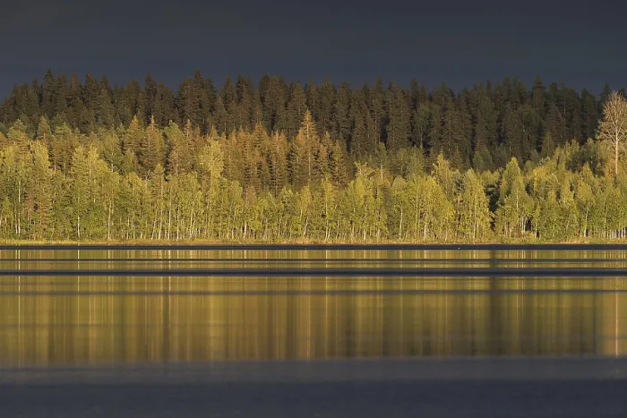 Framed Print : Lake near Hartola, forest, dramatic light mood