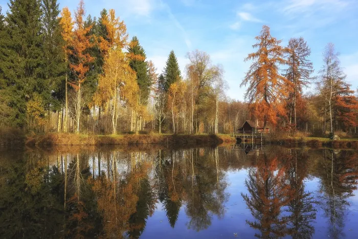 Framed Print : A lake reflecting autumn trees and a small hut under a blue sky