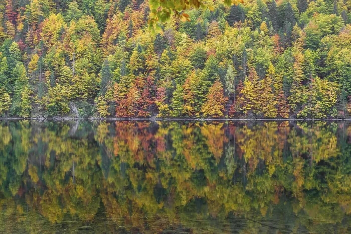 Framed Print : Lake Toplitz, forest in full autumn colors Framed Print : Lake Toplitz, forest in full autumn colors