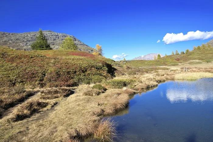 Framed Print : Lakeside meadow with autumn plants under bright blue sky