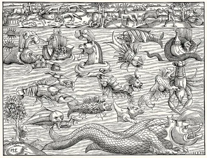Framed Print : Land and sea monsters, based on Sebastian Munster's Comograhia uiversalis from 1550