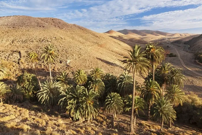 Framed Print : Landscape of Barranco de la Madre de Agua