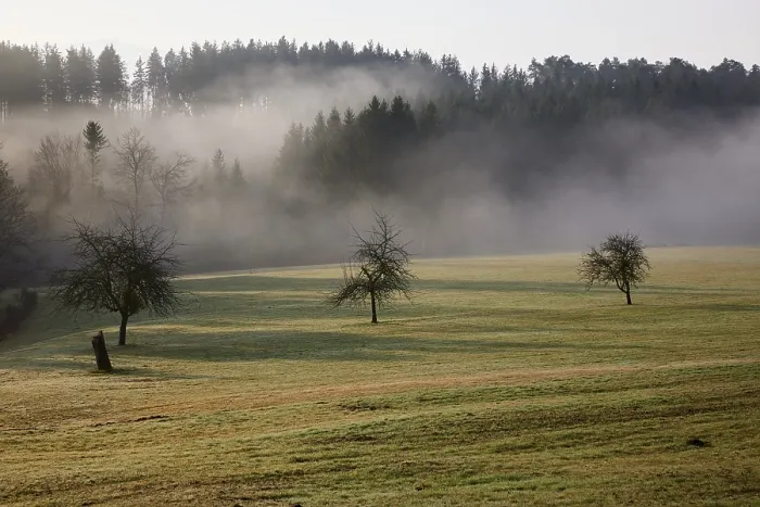 Framed Print : Landscape in the Black Forest in foggy weather with meadow