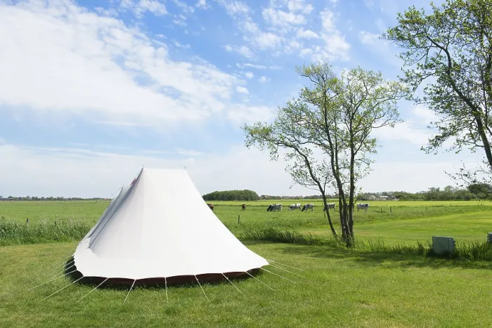 Framed Print : Landscape Camping with tent in meadows with cows Framed Print : Landscape Camping with tent in meadows with cows