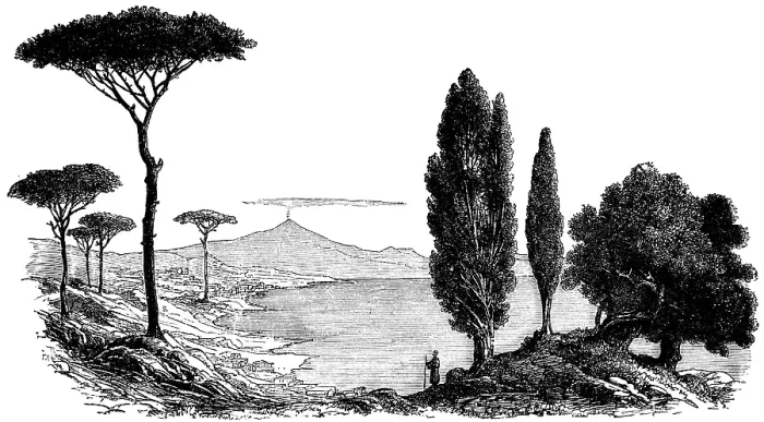 Framed Print : Landscape on the Gulf of Naples with a view of the smoking Etna volcano, vegetation from left, pine tree (Pinus pinea), Mediterranean cypress (Cupressus sempervirens var) Framed Print : Landscape on the Gulf of Naples with a view of the smoking Etna volcano, vegetation from left, pine tree (Pinus pinea), Mediterranean cypress (Cupressus sempervirens var)