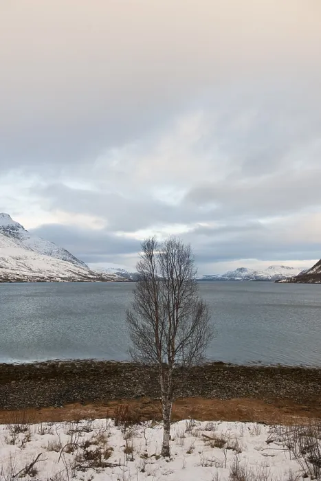 Framed Print : Landscape at Kaldfjorden, Troms, Norway, Europe Framed Print : Landscape at Kaldfjorden, Troms, Norway, Europe