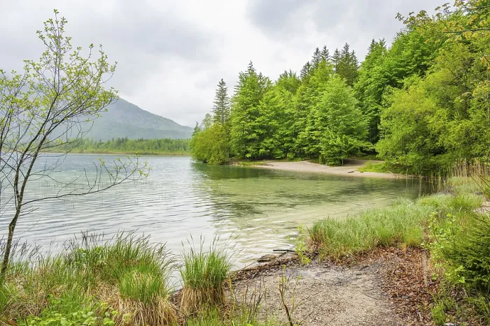 Framed Print : Landscape of Lake Offensee on a rainy day in spring Framed Print : Landscape of Lake Offensee on a rainy day in spring