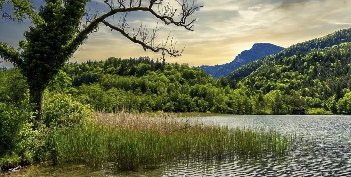 Framed Print : Landscape at Lake Thumsee, Bad Reichenhall Framed Print : Landscape at Lake Thumsee, Bad Reichenhall