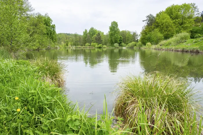 Framed Print : Landscape of a little lake on a cloudy day in spring