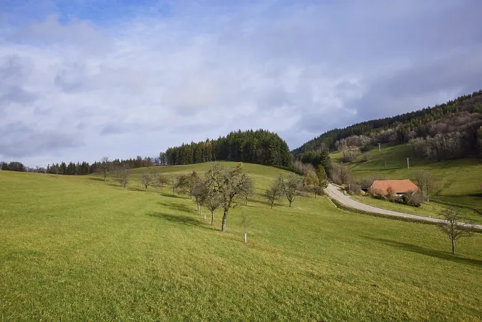 Framed Print : Landscape with meadow, bare trees Framed Print : Landscape with meadow, bare trees