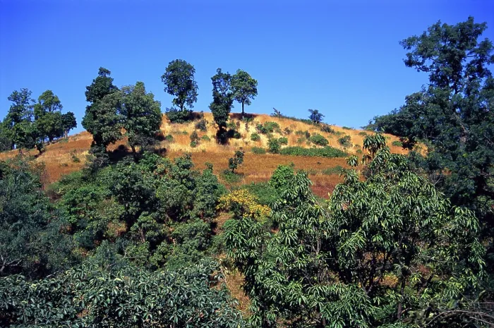 Framed Print : Landscape, Melghat, Amravati, Maharashtra, India