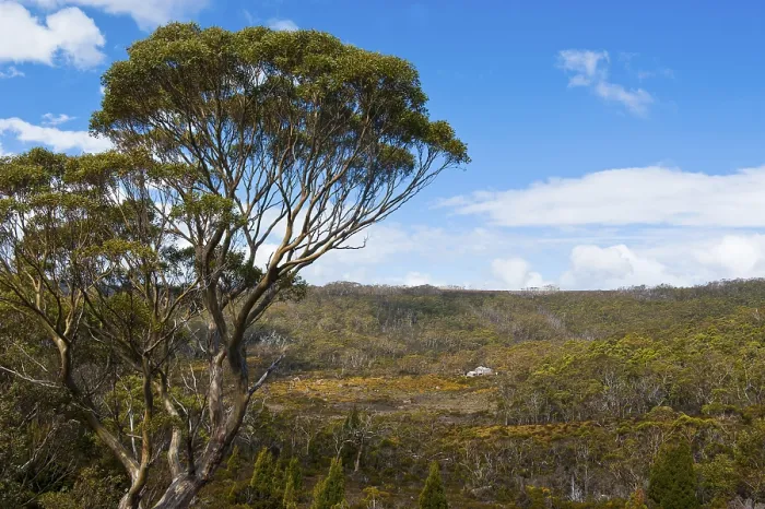 Framed Print : Landscape in the Mount Field National Park