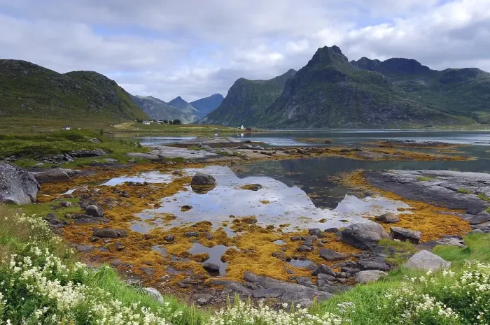 Framed Print : Landscape near Austvagoy, Lofoten