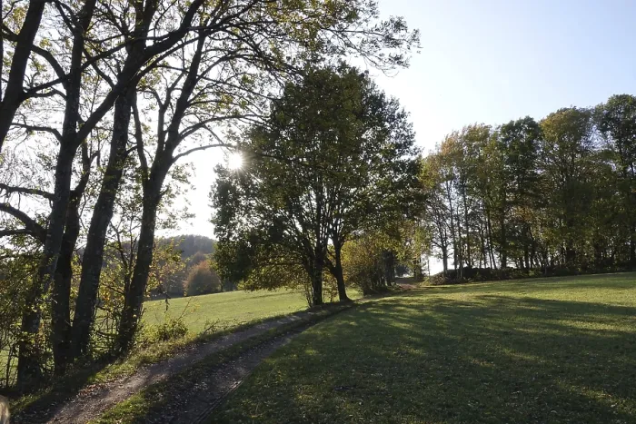 Framed Print : Landscape in the Odenwald
