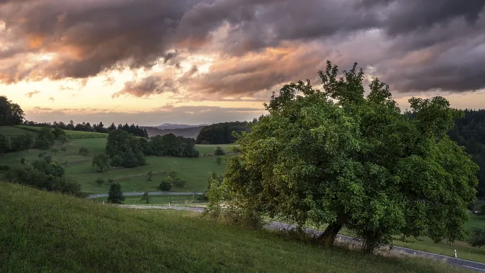 Framed Print : Landscape in the Odenwald with trees Framed Print : Landscape in the Odenwald with trees
