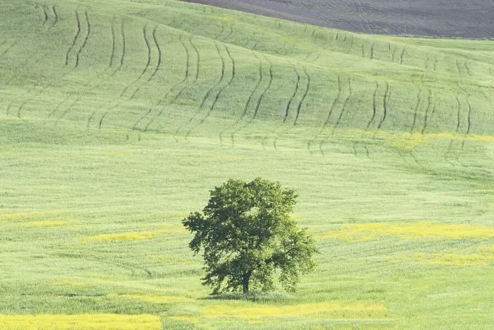 Framed Print : Landscape around Pienza, Val dOrcia Framed Print : Landscape around Pienza, Val dOrcia