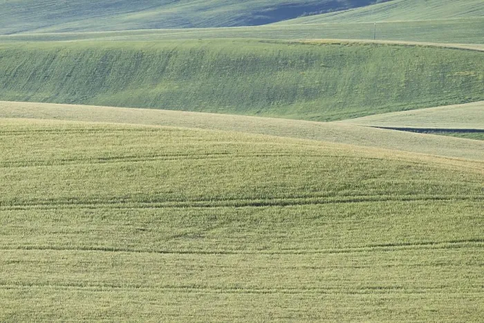Framed Print : Landscape around Pienza, Val dOrcia