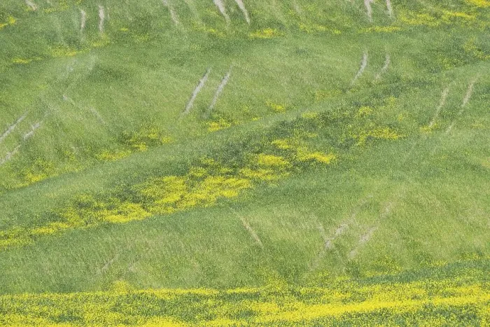 Framed Print : Landscape around Pienza, Val dOrcia