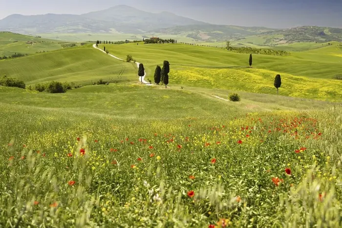 Framed Print : Landscape around Pienza, Val dOrcia Framed Print : Landscape around Pienza, Val dOrcia