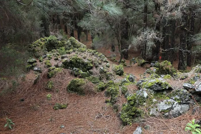 Framed Print : Landscape in the Refugio de El Pinar National Park