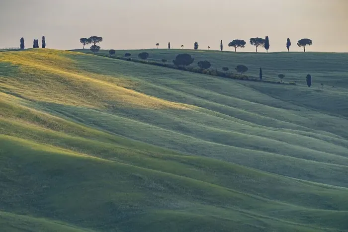 Framed Print : Landscape around San Quirico d'Orcia