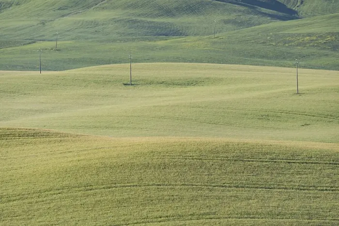 Framed Print : Landscape around San Quirico d'Orcia
