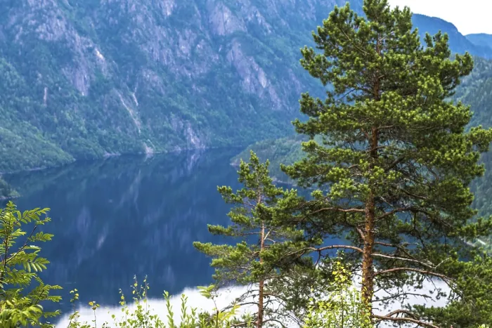 Framed Print : Landscape in the Setesdal in Norway in the summer time