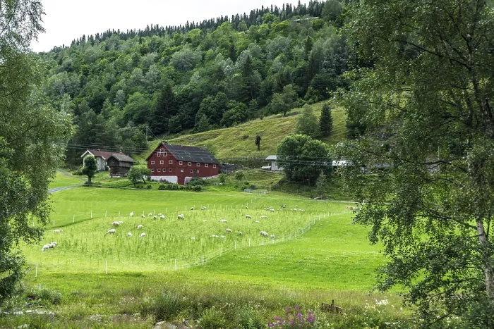 Framed Print : Landscape in the Setesdal in Norway in the summer time