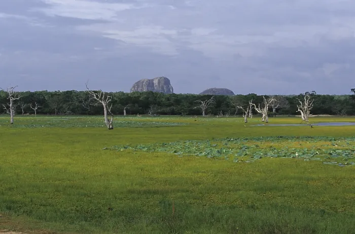 Framed Print : Landscape Sri Lanka