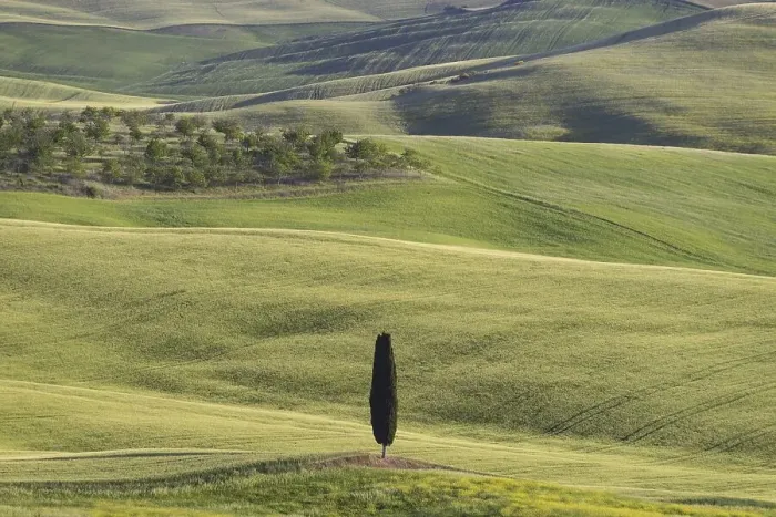 Framed Print : Landscape at sunrise around Pienza Framed Print : Landscape at sunrise around Pienza