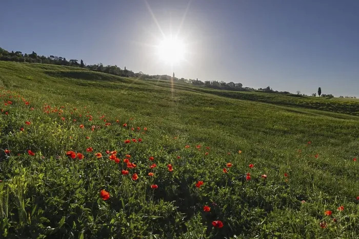 Framed Print : Landscape at sunrise around Pienza