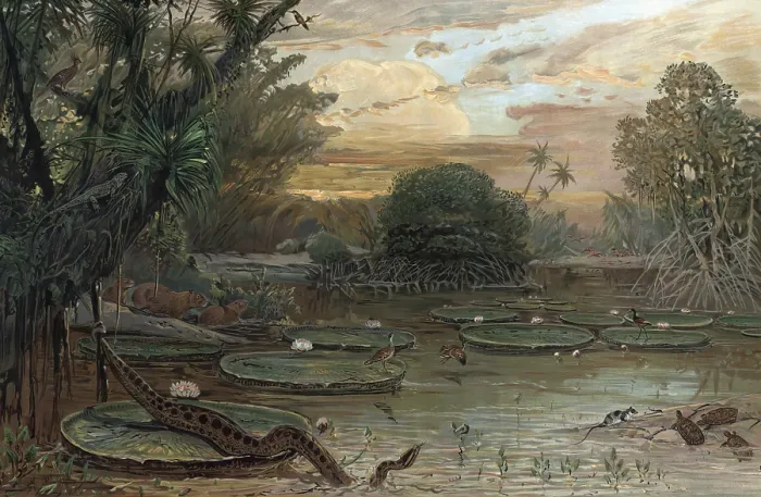 Framed Print : Landscape in Urwlad of Guiana, South America