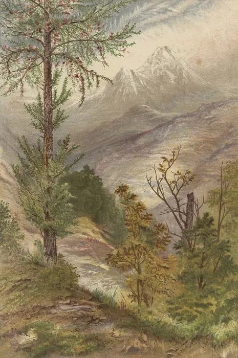 Framed Print : Landscape, valley in the area of Aosta