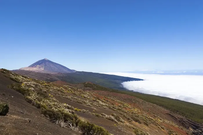 Framed Print : Landscape with vegetation typical of the Parque Nacional de las Canadas del Teide