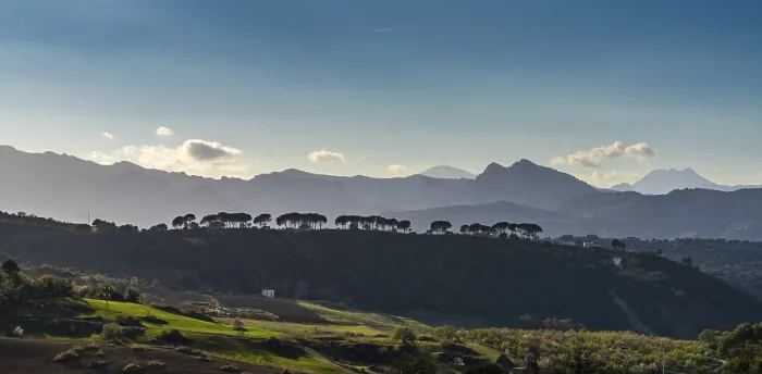 Framed Print : A landscape view of fields around Ronda with the Serrania de Ronda in the background