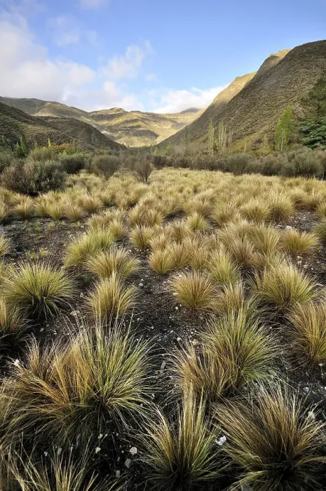 Framed Print : Landscape in the Villavicencio Nature Reserve Framed Print : Landscape in the Villavicencio Nature Reserve