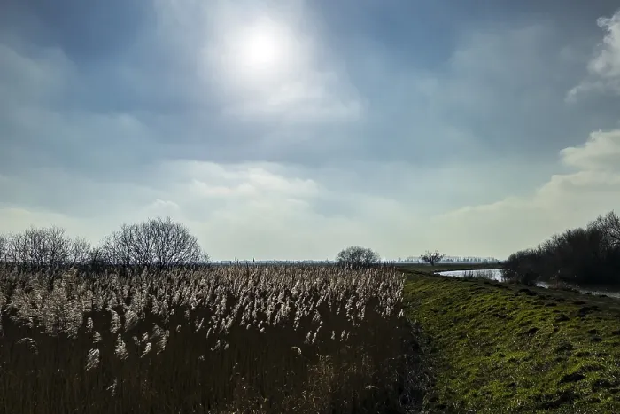 Framed Print : Landscape in the wetland at the Dummer
