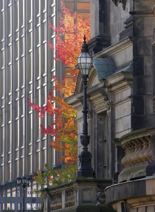 Framed Print : Lantern and maple tree at Berlin Cathedral