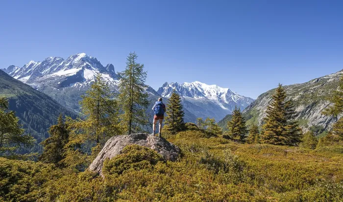 Framed Print : Larches in autumn colour, hiker looking at mountain panorama from Aiguillette des Posettes