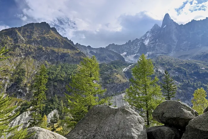 Framed Print : Larches stand in rocky terrain