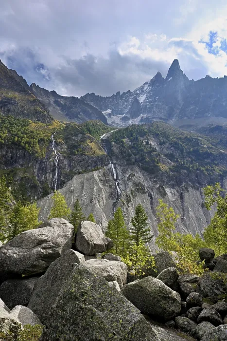 Framed Print : Larches stand in rocky terrain Framed Print : Larches stand in rocky terrain
